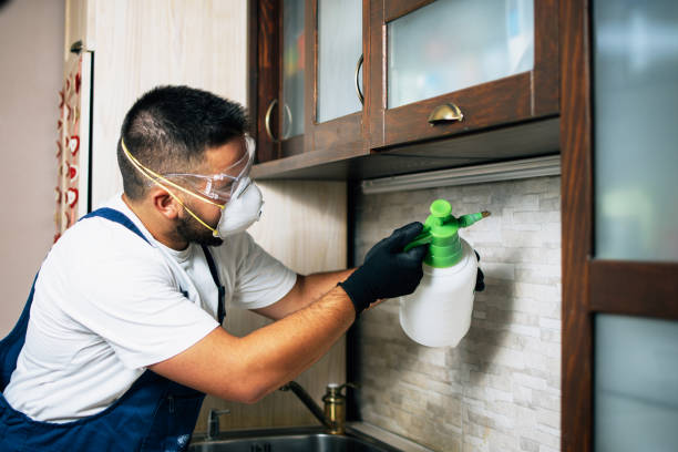 Best Wasp Removal Services  in Sharonville, OH