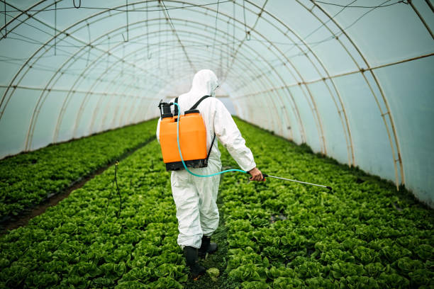 Best Pest Prevention Services  in Sharonville, OH