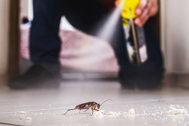 Reliable Sharonville, OH Pest Control Solutions